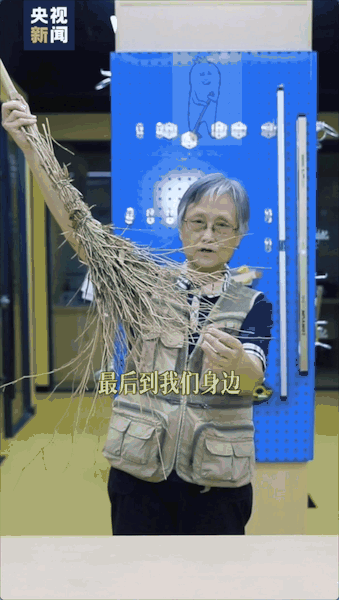 微信图片_20211122201042.gif
