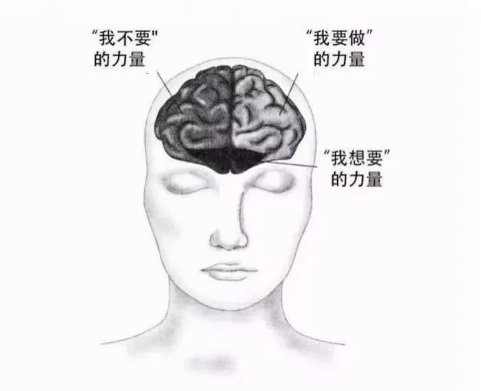 IJ8nVXHSZ81Xoyp7zZ5bbLU18AgguRT7YA68cTbr9q3Q6yI5pGeXvAGiaQiaIIWkOSqIsdAATUeMbILMibCnTKTrQ.jpg